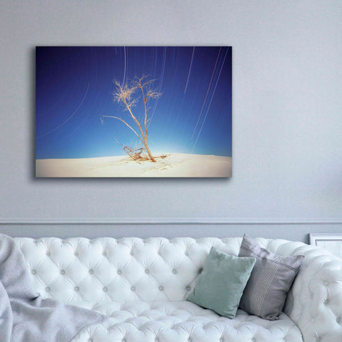 Image of 'Bright Cottonwood Drum Scan' by Thomas Haney, Giclee Canvas Wall Art,60 x 40
