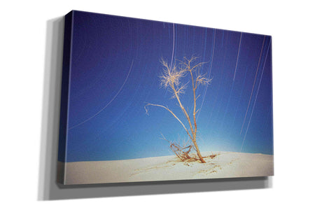 'Bright Cottonwood Drum Scan' by Thomas Haney, Giclee Canvas Wall Art