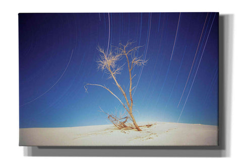 Image of 'Bright Cottonwood Drum Scan' by Thomas Haney, Giclee Canvas Wall Art