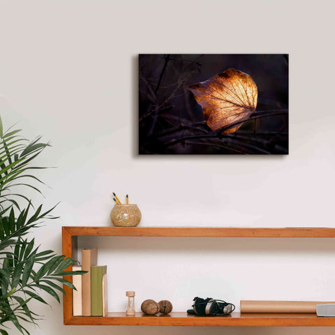 Image of 'Bright Leaf Proc' by Thomas Haney, Giclee Canvas Wall Art,18 x 12