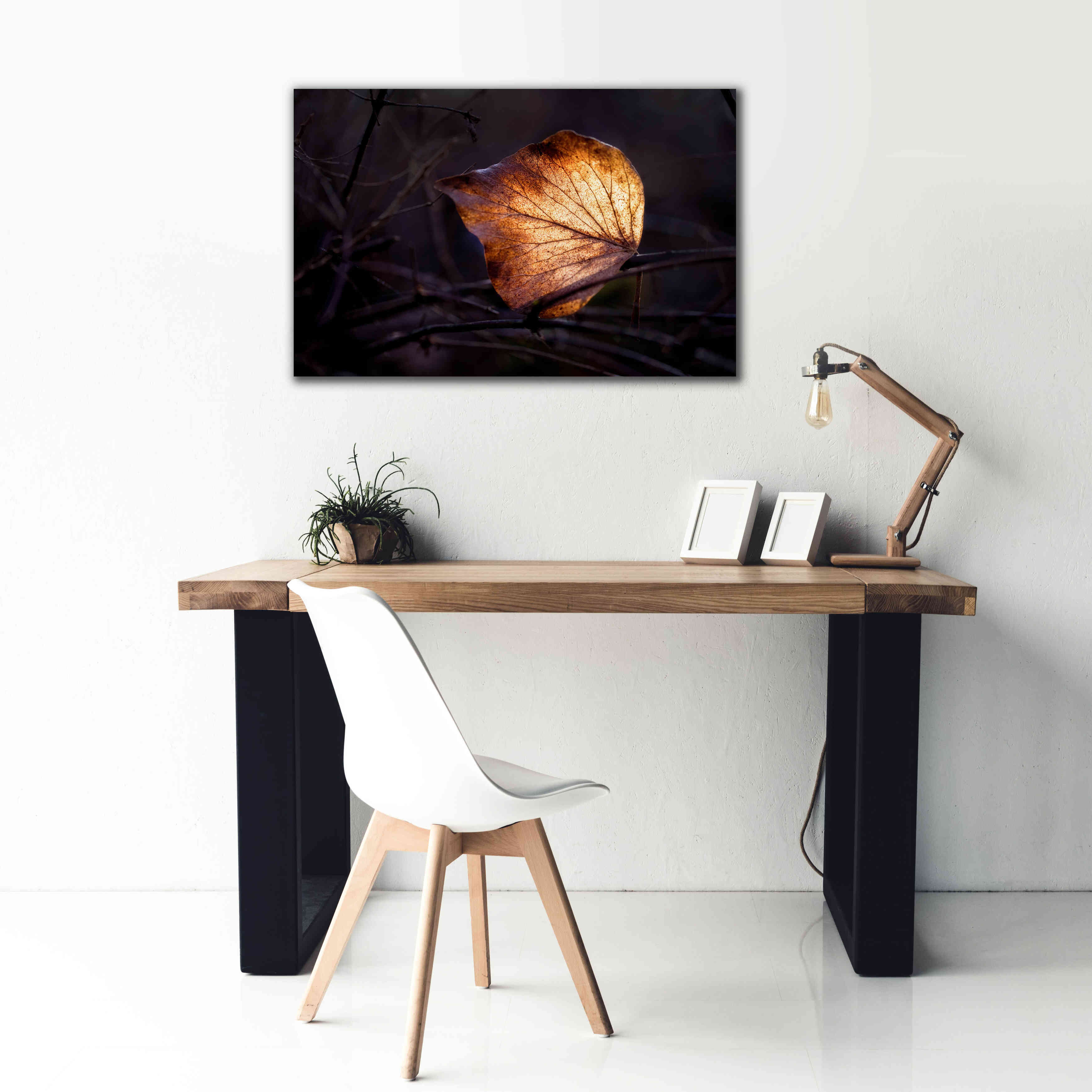 'Bright Leaf Proc' by Thomas Haney, Giclee Canvas Wall Art,40 x 26