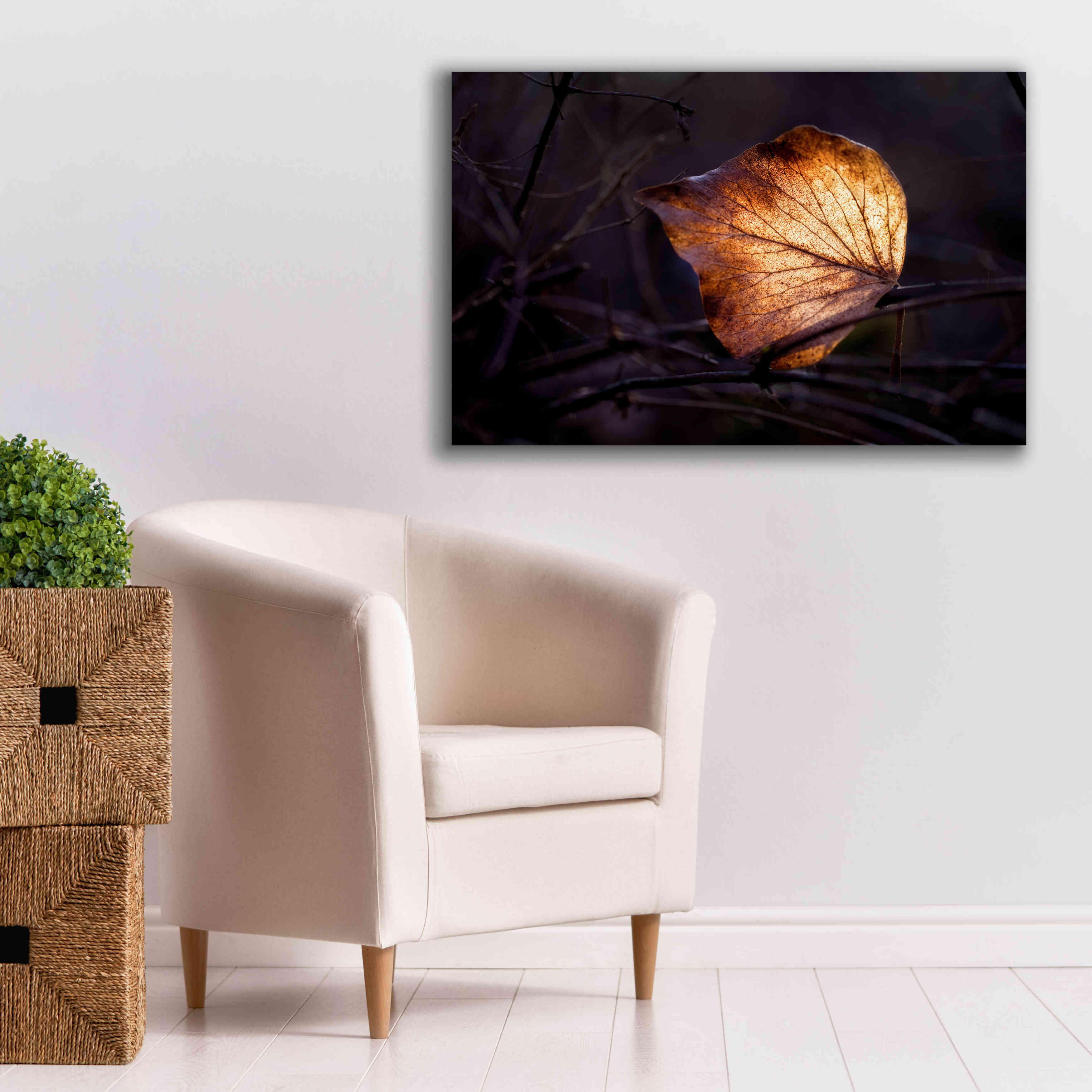 'Bright Leaf Proc' by Thomas Haney, Giclee Canvas Wall Art,40 x 26