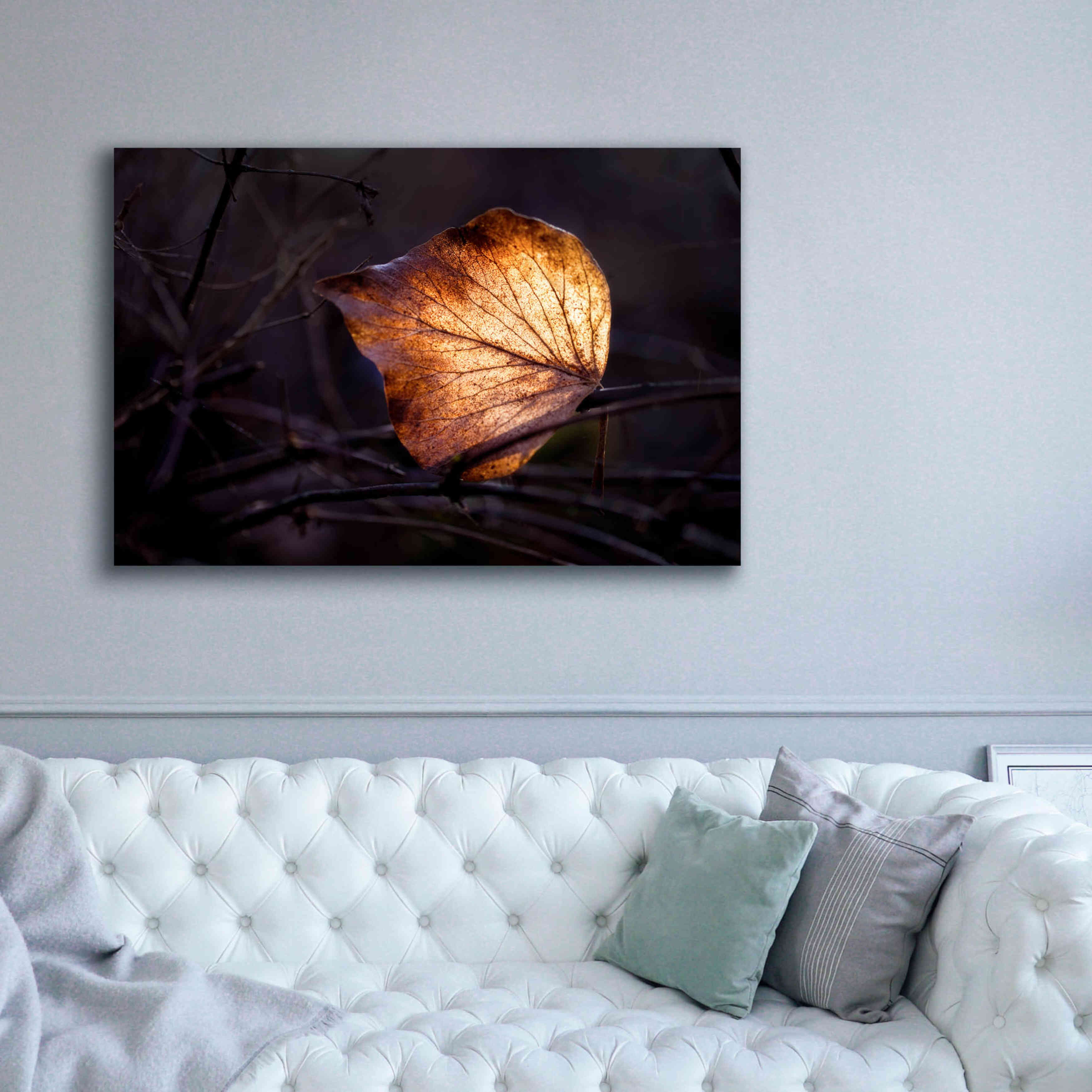 'Bright Leaf Proc' by Thomas Haney, Giclee Canvas Wall Art,60 x 40