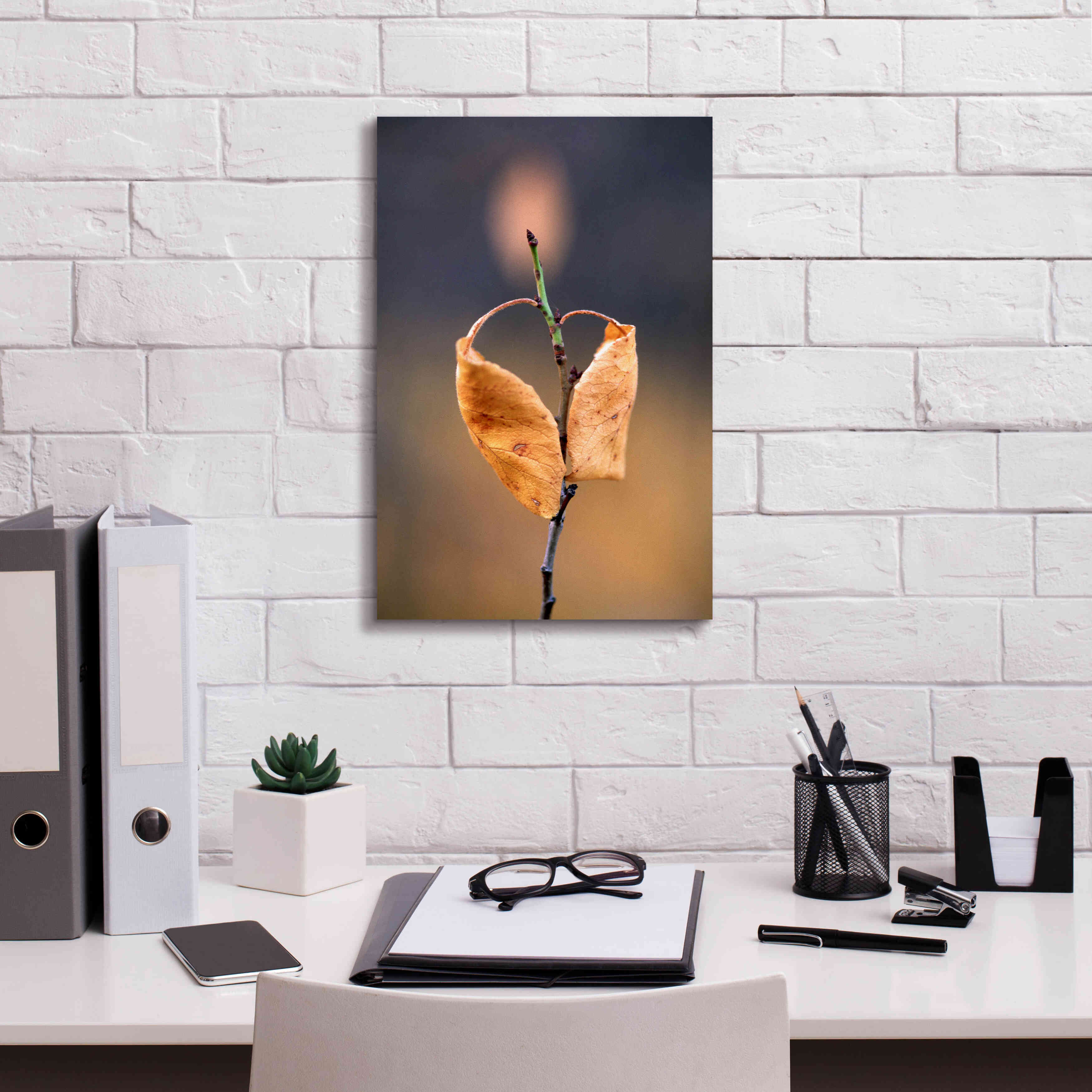 'Candle Plant' by Thomas Haney, Giclee Canvas Wall Art,12 x 18
