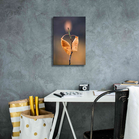 Image of 'Candle Plant' by Thomas Haney, Giclee Canvas Wall Art,12 x 18