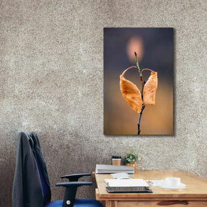 'Candle Plant' by Thomas Haney, Giclee Canvas Wall Art,26 x 40