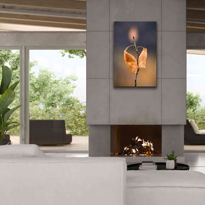 'Candle Plant' by Thomas Haney, Giclee Canvas Wall Art,26 x 40