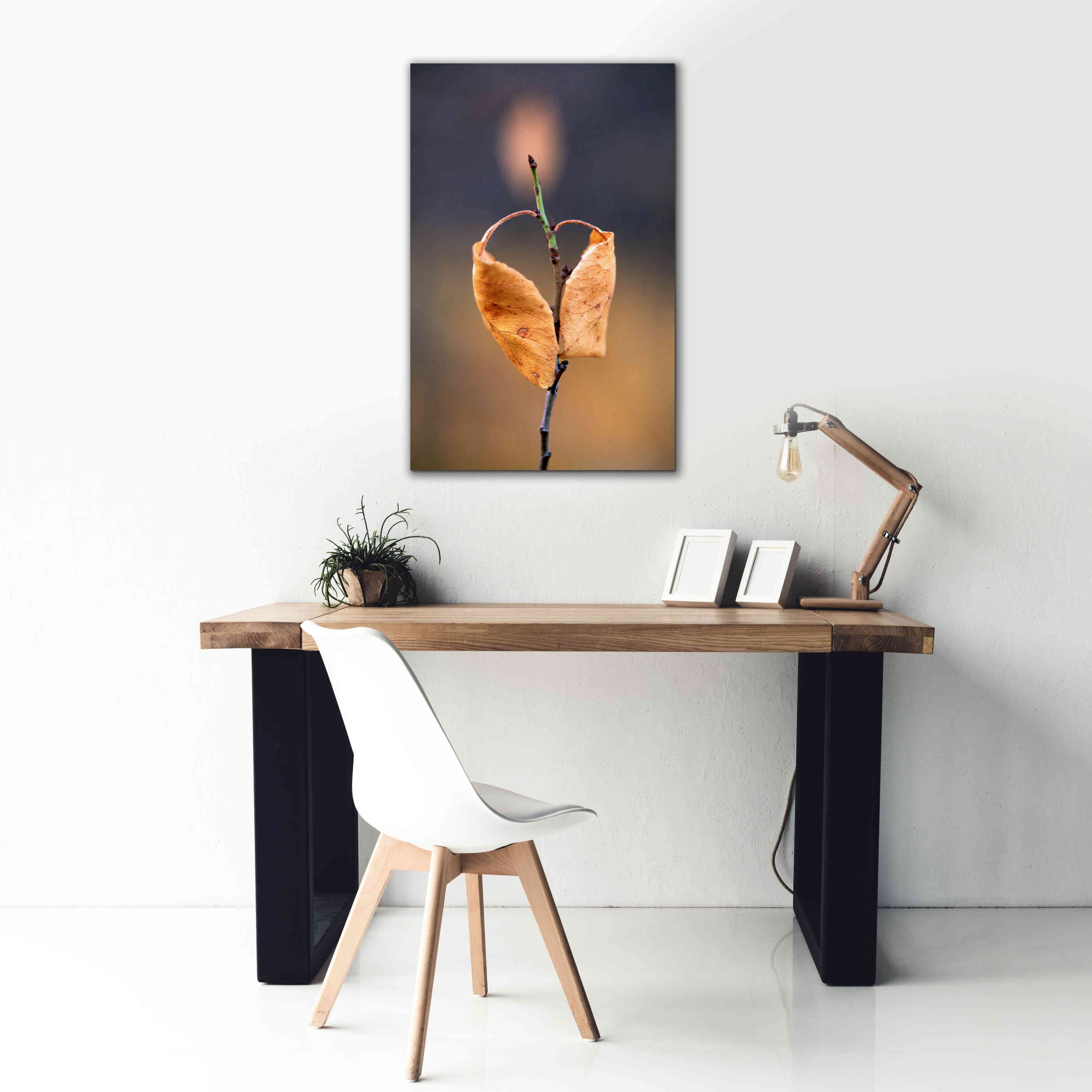 'Candle Plant' by Thomas Haney, Giclee Canvas Wall Art,26 x 40