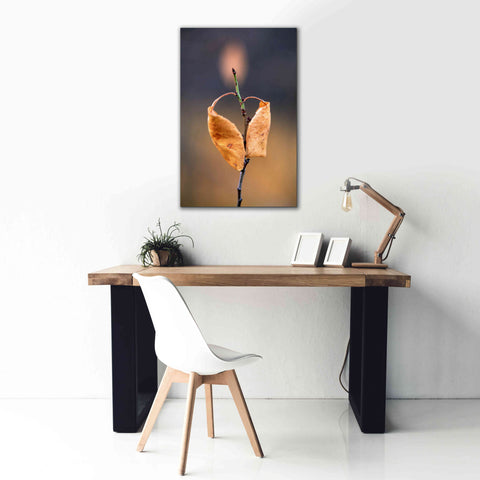 Image of 'Candle Plant' by Thomas Haney, Giclee Canvas Wall Art,26 x 40