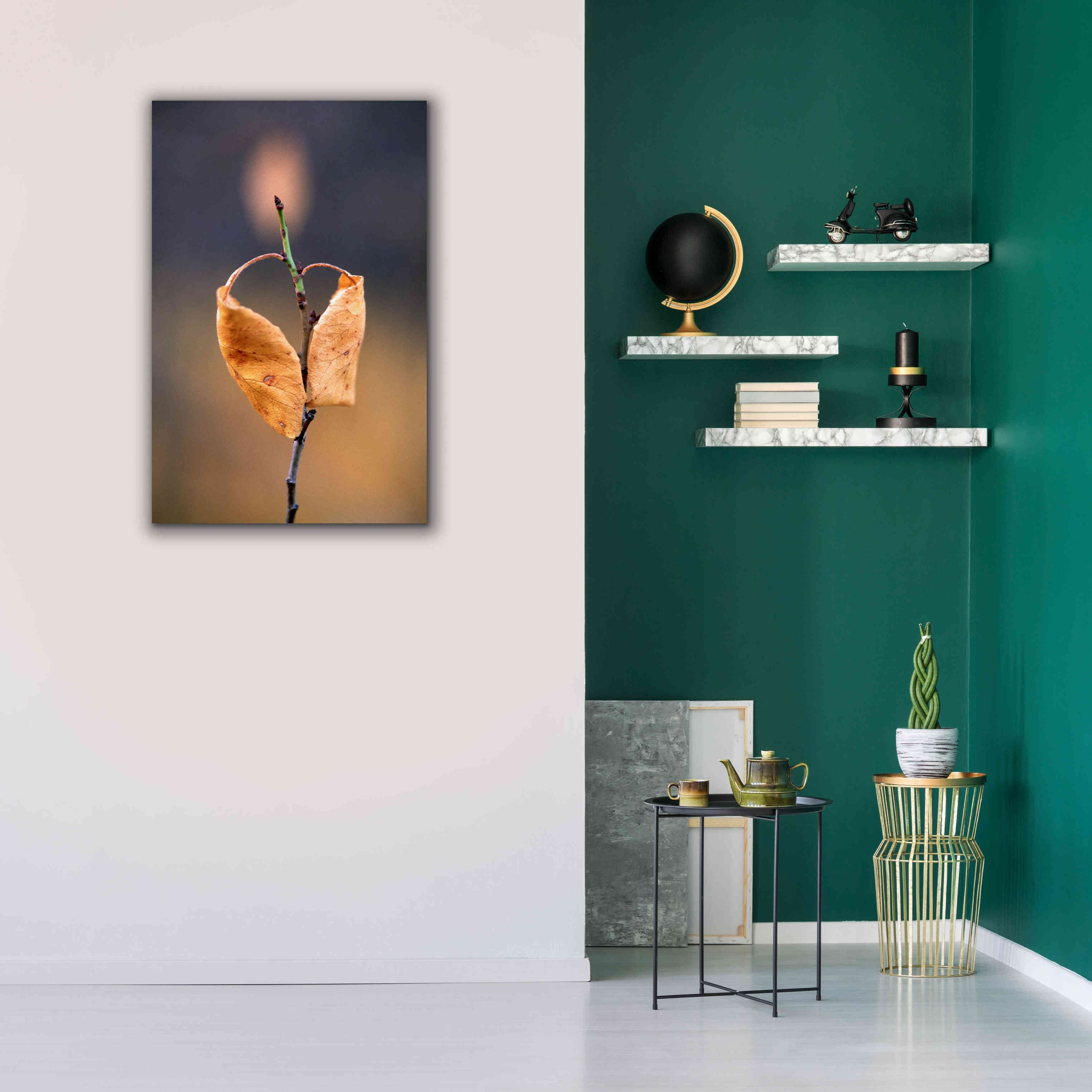 'Candle Plant' by Thomas Haney, Giclee Canvas Wall Art,26 x 40