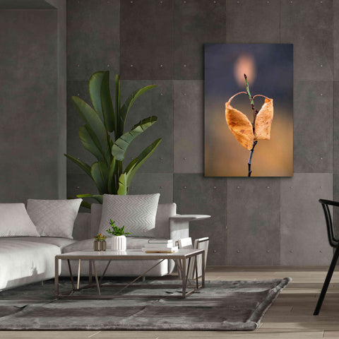 Image of 'Candle Plant' by Thomas Haney, Giclee Canvas Wall Art,40 x 60