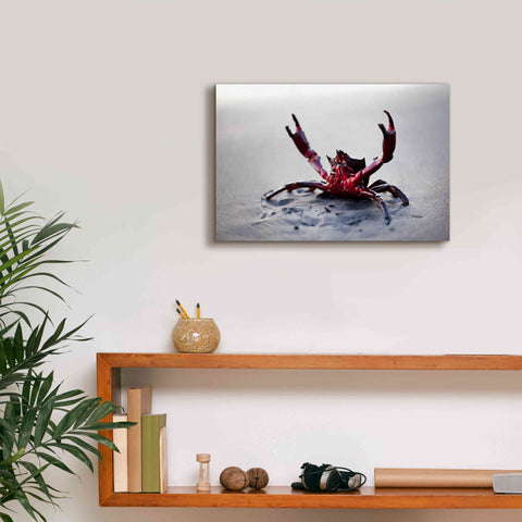 Image of 'Claws Up' by Thomas Haney, Giclee Canvas Wall Art,18 x 12