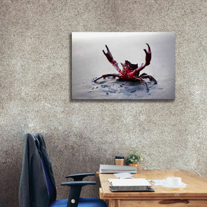 'Claws Up' by Thomas Haney, Giclee Canvas Wall Art,40 x 26