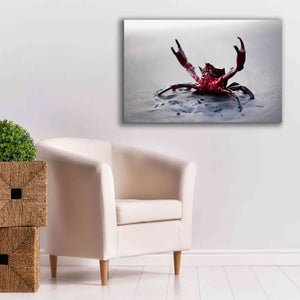 'Claws Up' by Thomas Haney, Giclee Canvas Wall Art,40 x 26