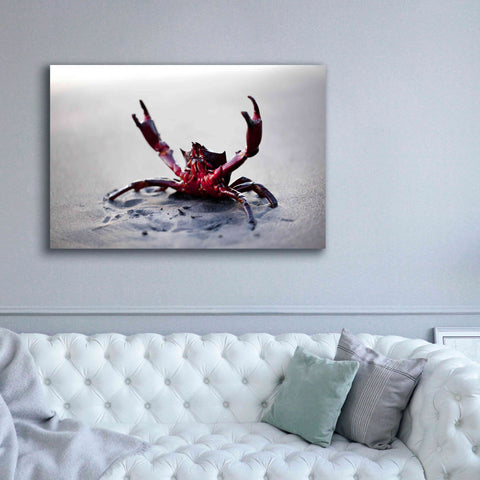 Image of 'Claws Up' by Thomas Haney, Giclee Canvas Wall Art,60 x 40