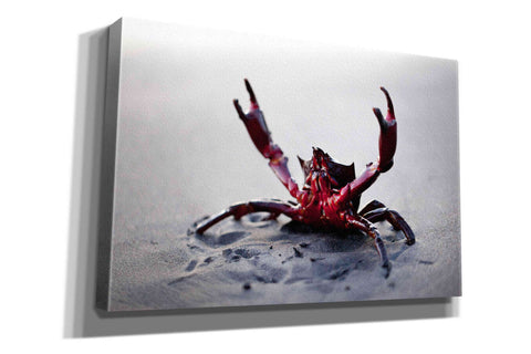 Image of 'Claws Up' by Thomas Haney, Giclee Canvas Wall Art