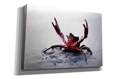 'Claws Up' by Thomas Haney, Giclee Canvas Wall Art