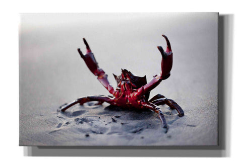 Image of 'Claws Up' by Thomas Haney, Giclee Canvas Wall Art