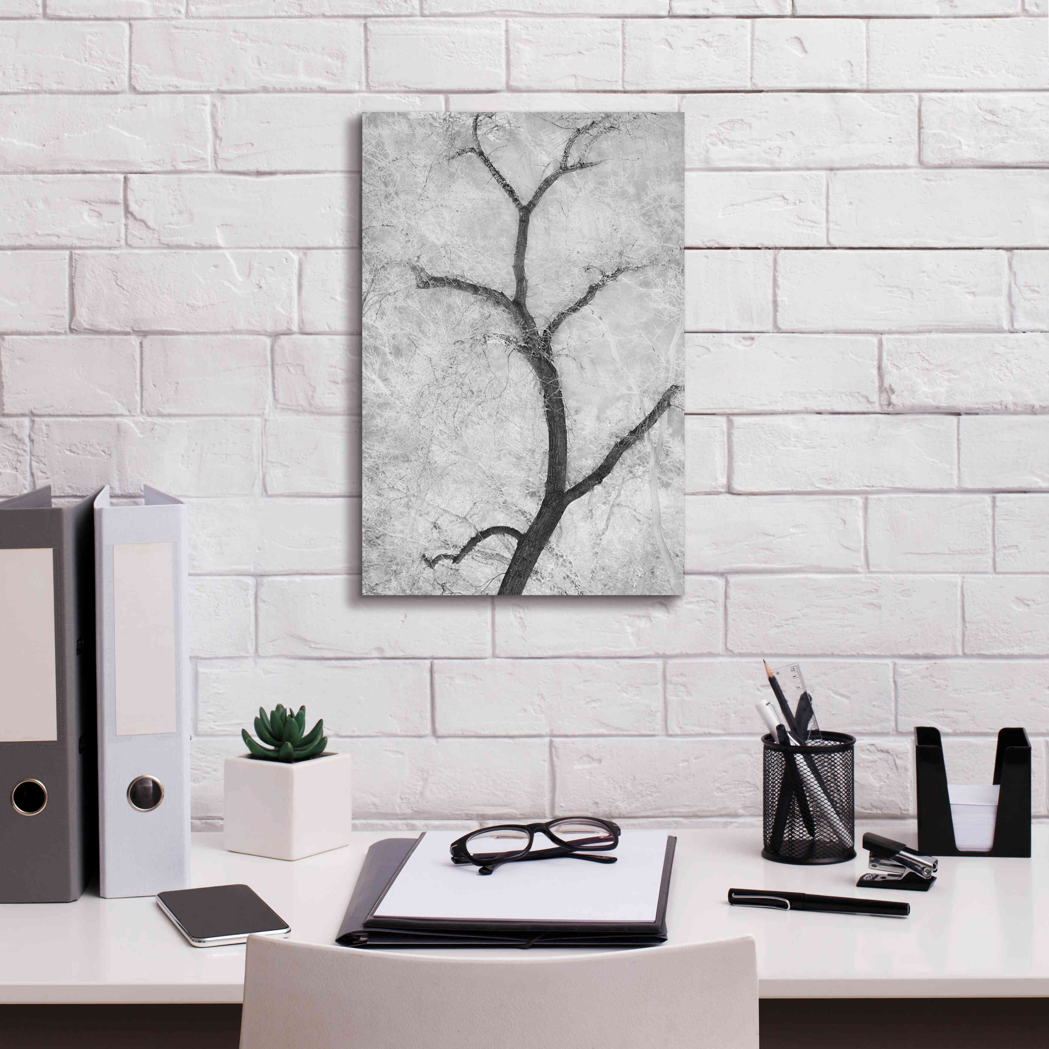 'Cottonwood Form B&W' by Thomas Haney, Giclee Canvas Wall Art,12 x 18