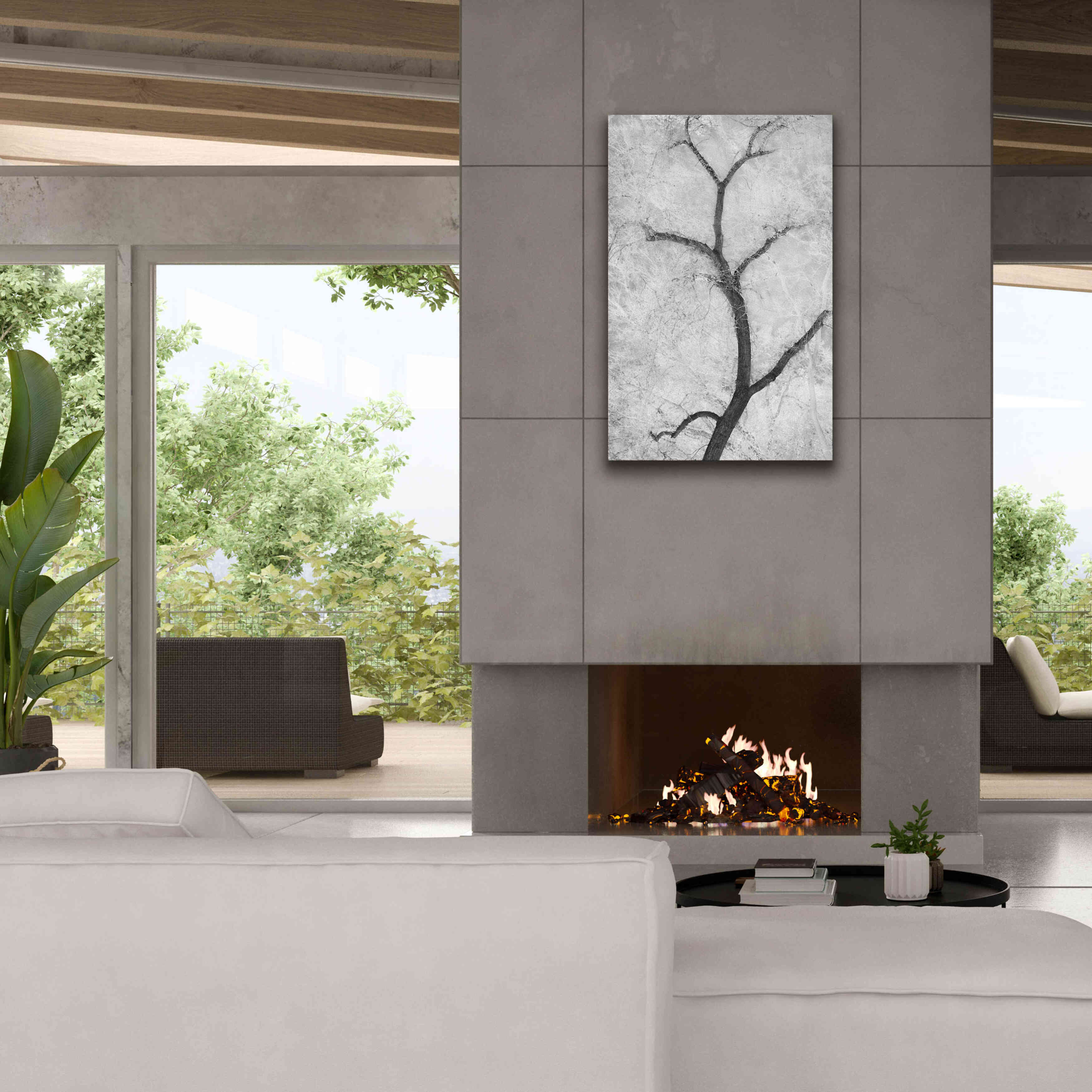 'Cottonwood Form B&W' by Thomas Haney, Giclee Canvas Wall Art,26 x 40