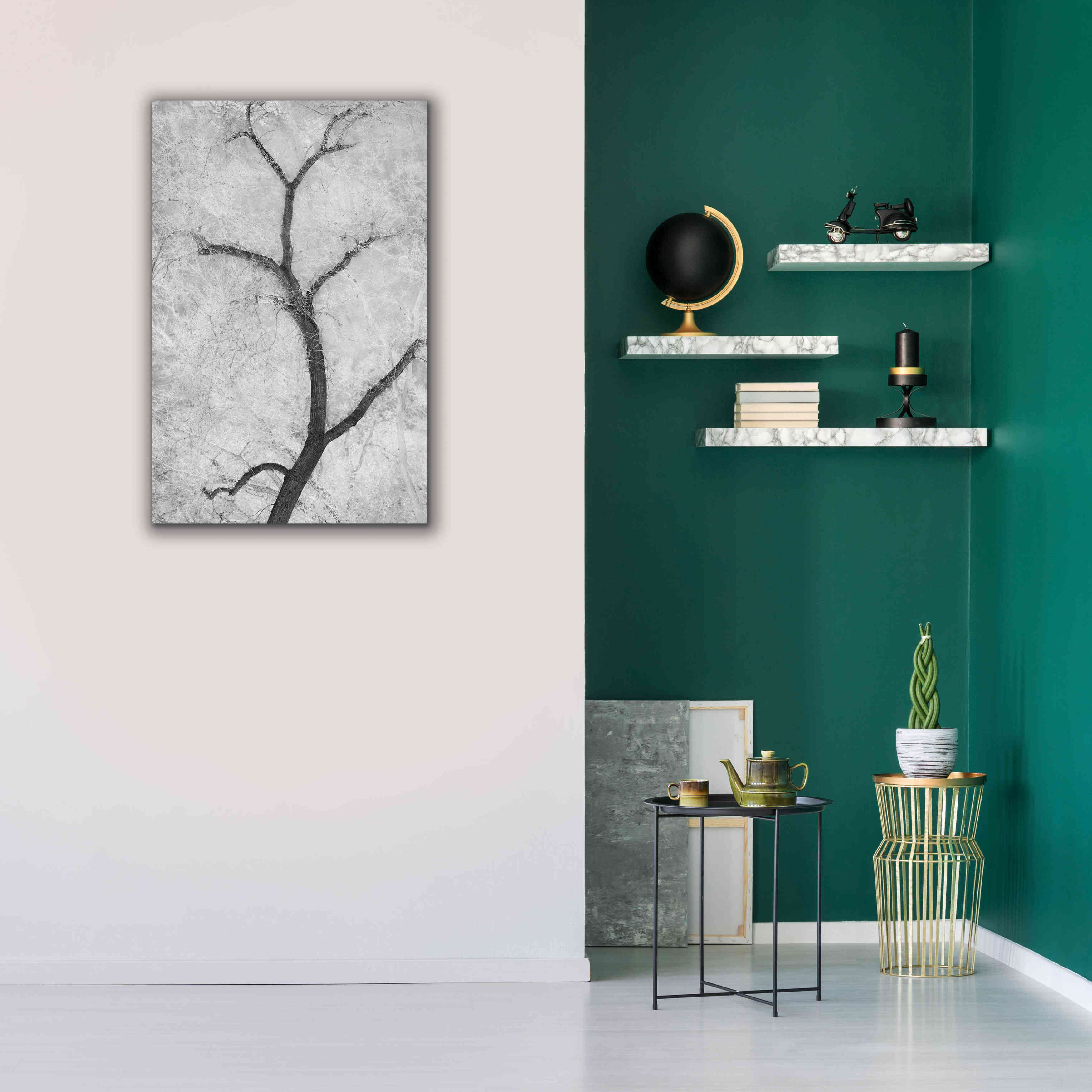 'Cottonwood Form B&W' by Thomas Haney, Giclee Canvas Wall Art,26 x 40