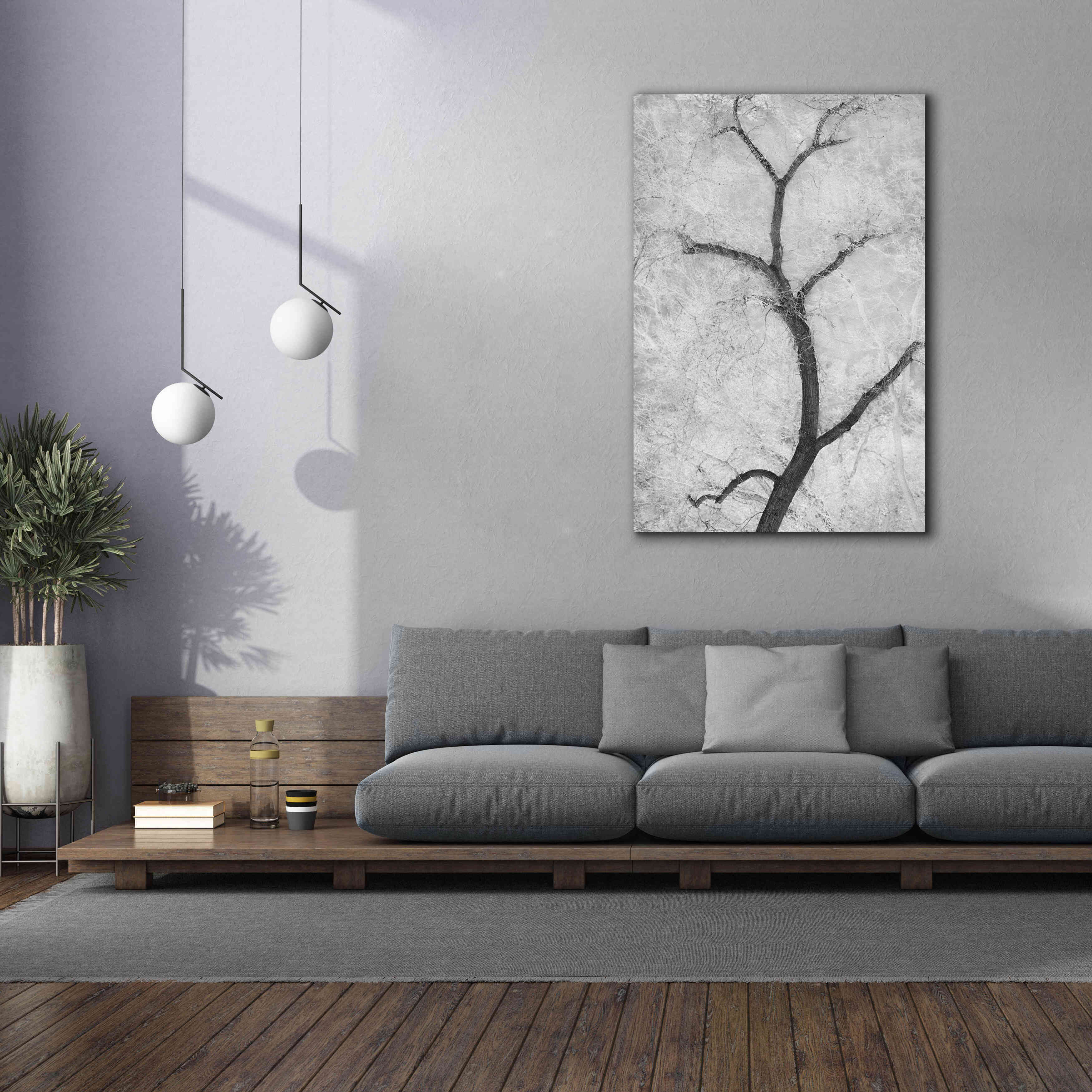 'Cottonwood Form B&W' by Thomas Haney, Giclee Canvas Wall Art,40 x 60