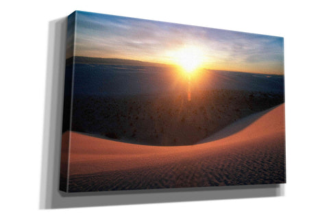 Image of 'Curved Dune Spot Removed' by Thomas Haney, Giclee Canvas Wall Art