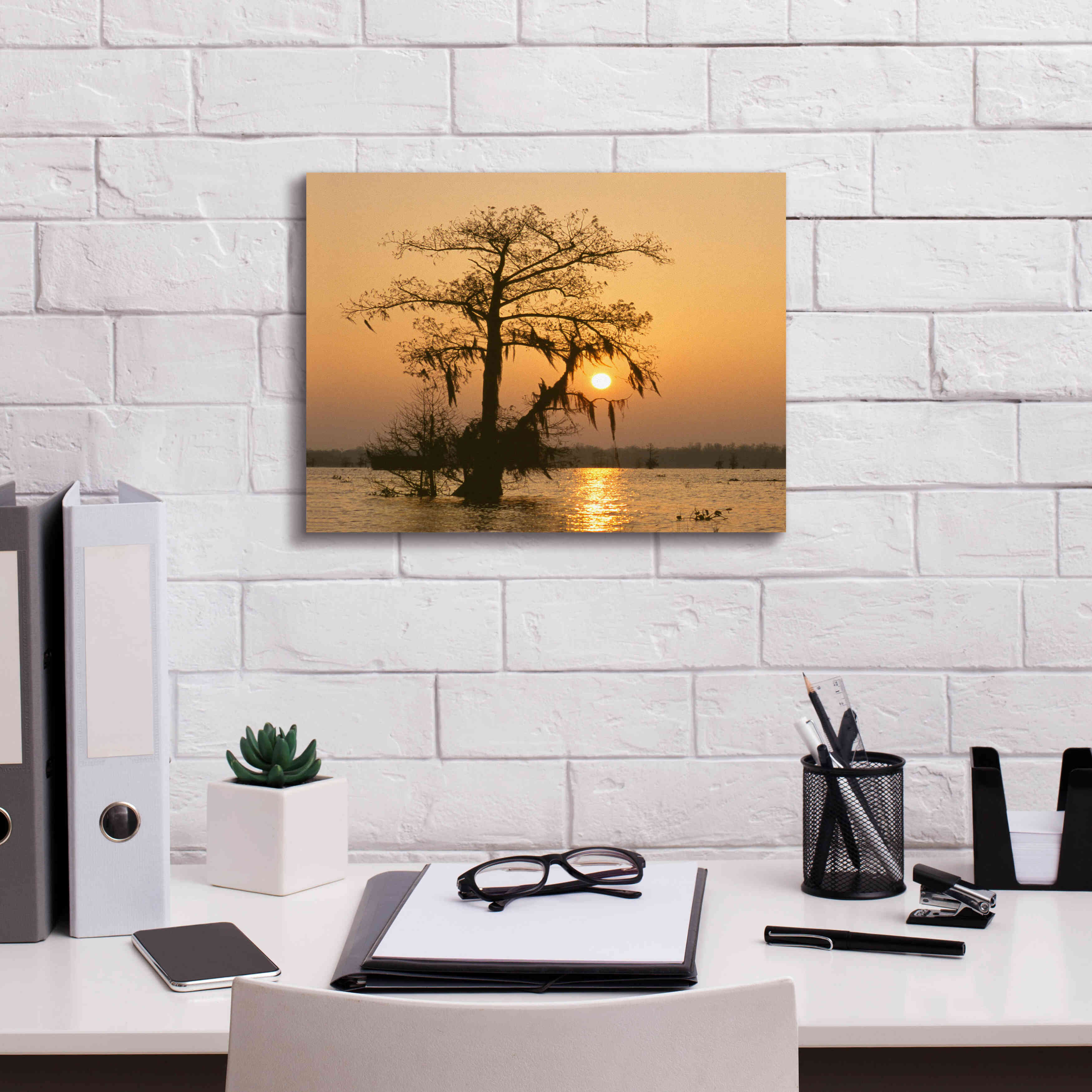 'Cypress Proc' by Thomas Haney, Giclee Canvas Wall Art,16 x 12