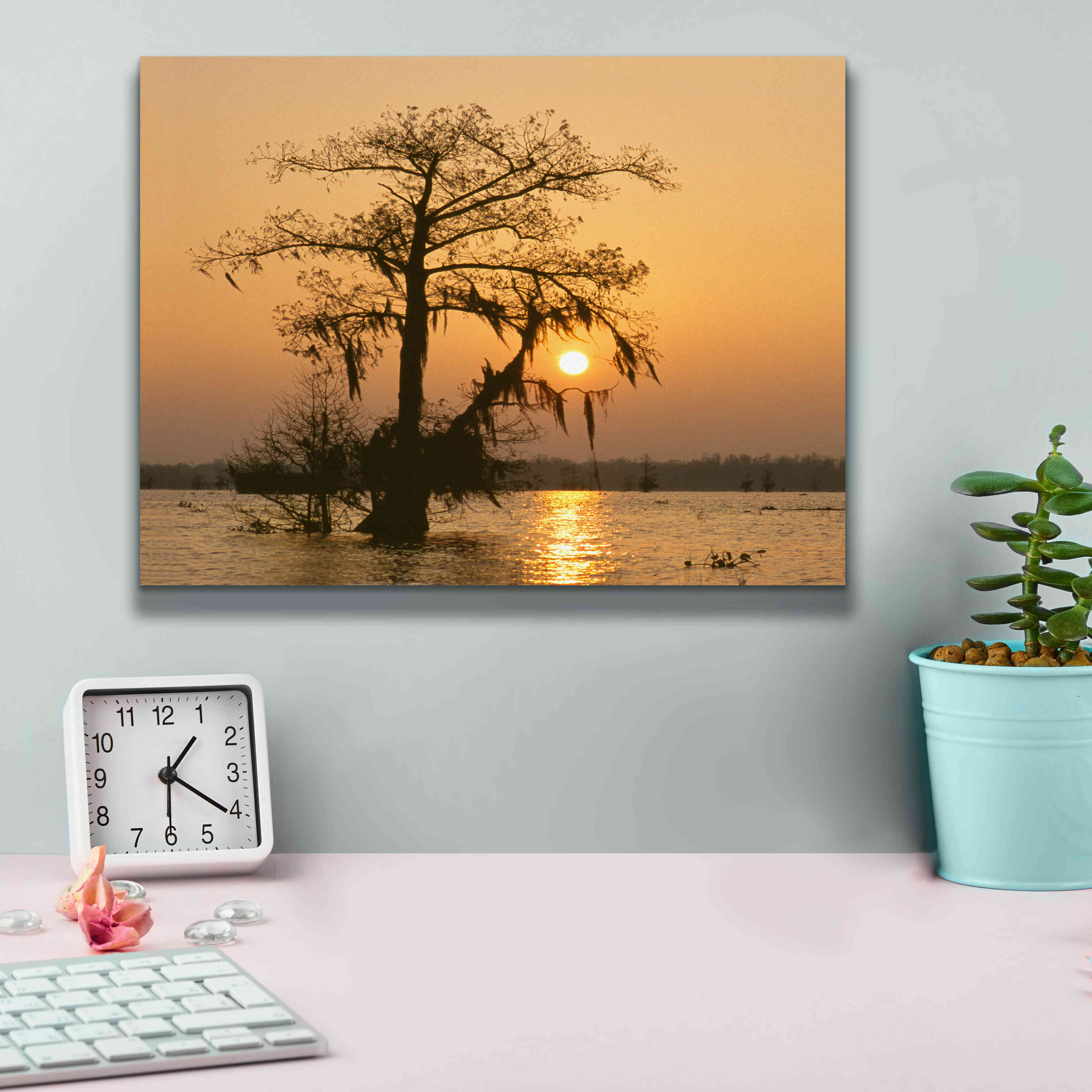 'Cypress Proc' by Thomas Haney, Giclee Canvas Wall Art,16 x 12