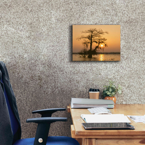 Image of 'Cypress Proc' by Thomas Haney, Giclee Canvas Wall Art,16 x 12