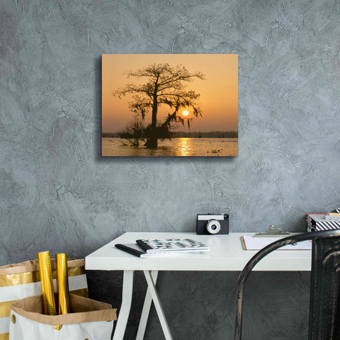 Image of 'Cypress Proc' by Thomas Haney, Giclee Canvas Wall Art,16 x 12