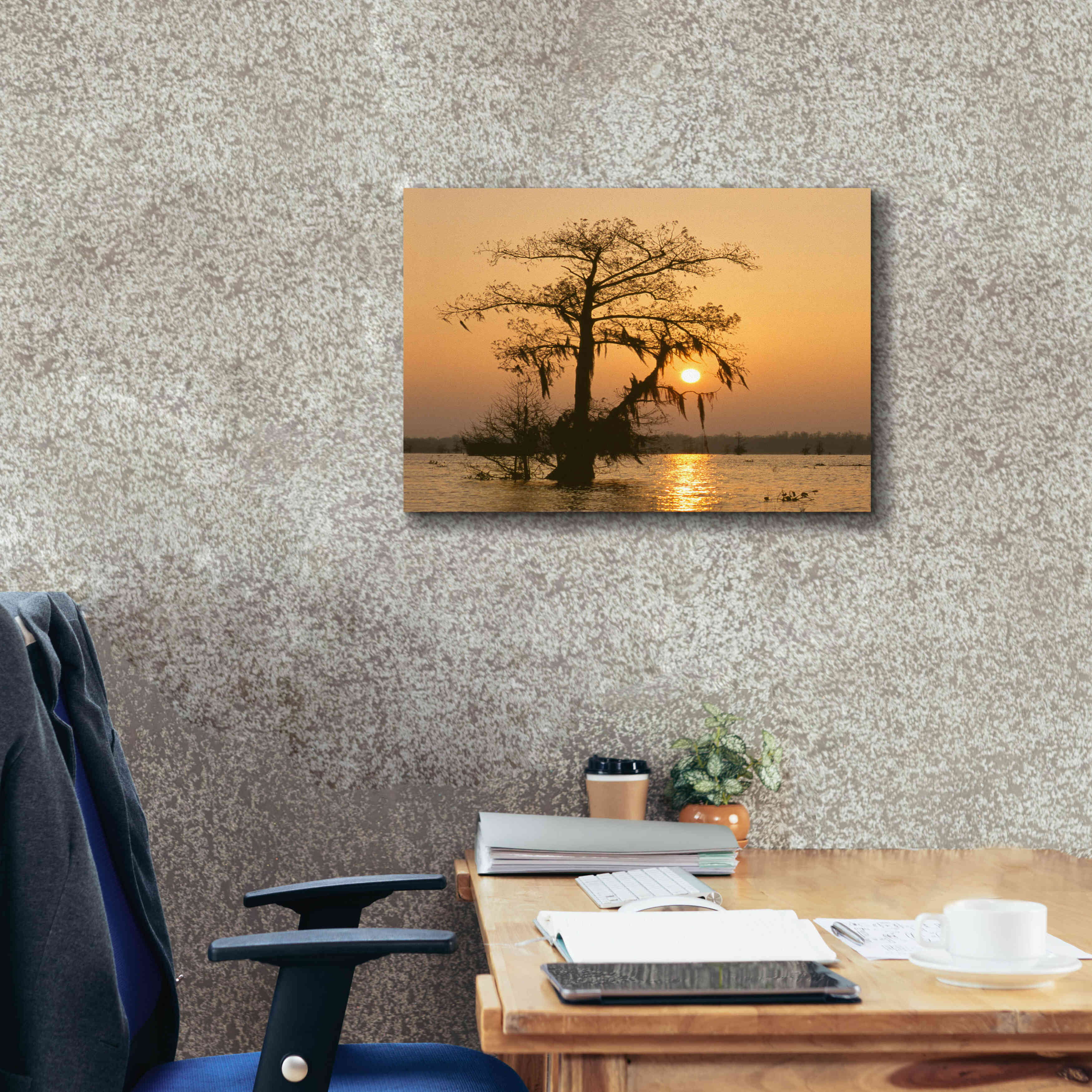 'Cypress Proc' by Thomas Haney, Giclee Canvas Wall Art,24 x 20