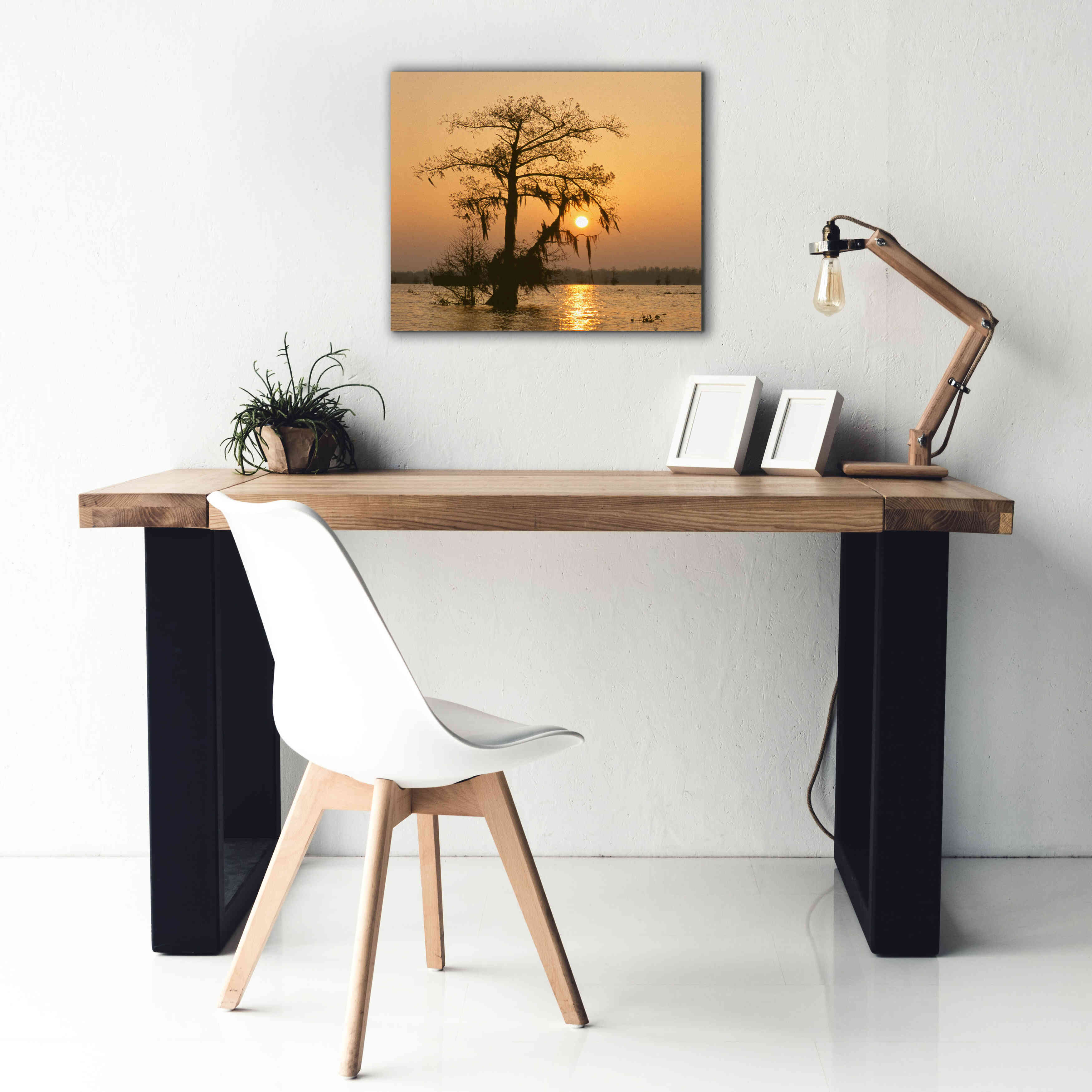 'Cypress Proc' by Thomas Haney, Giclee Canvas Wall Art,24 x 20