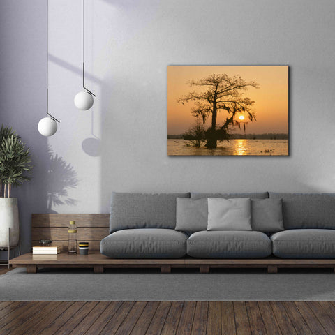 Image of 'Cypress Proc' by Thomas Haney, Giclee Canvas Wall Art,54 x 40