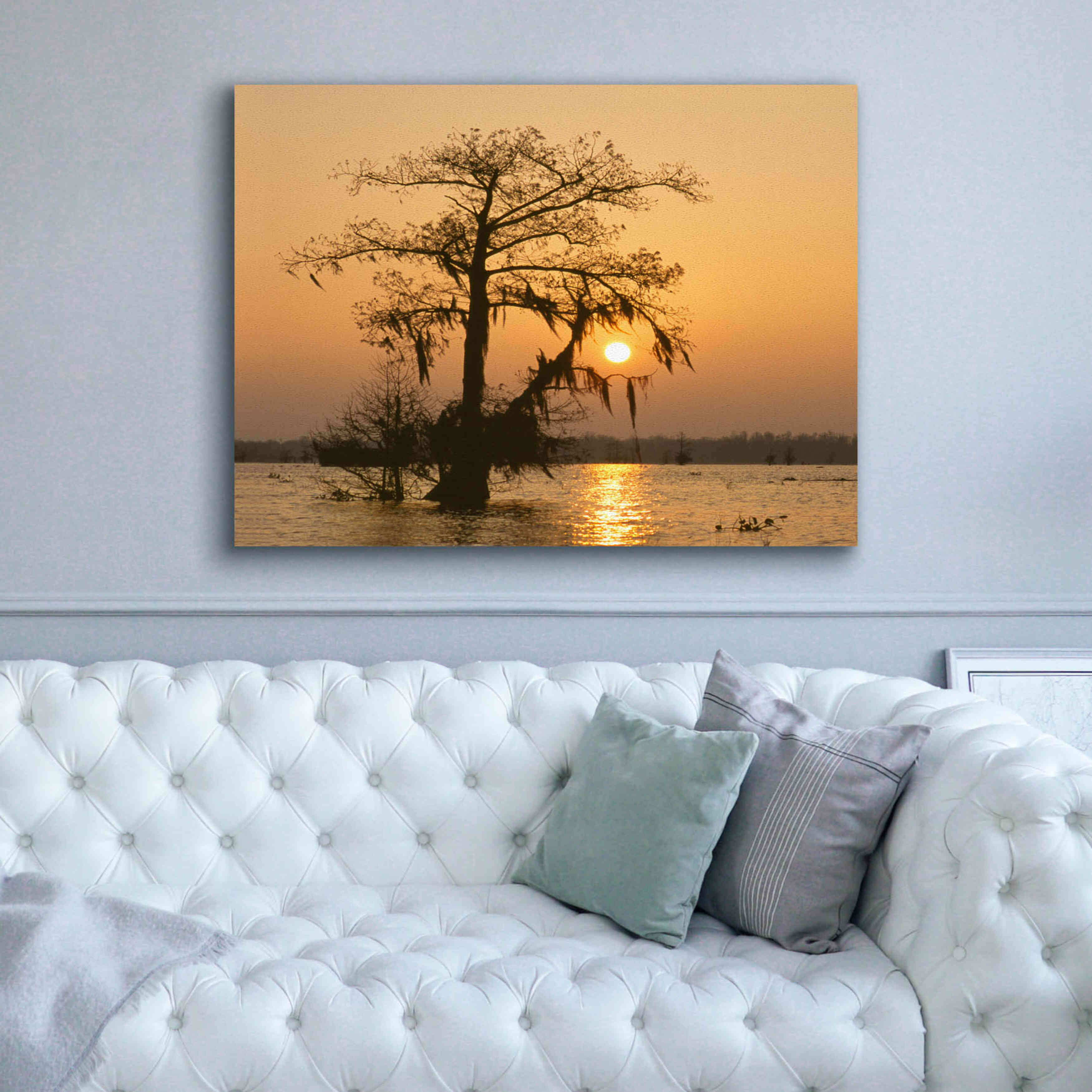 'Cypress Proc' by Thomas Haney, Giclee Canvas Wall Art,54 x 40