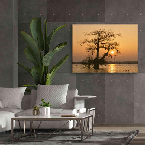 Image of 'Cypress Proc' by Thomas Haney, Giclee Canvas Wall Art,54 x 40