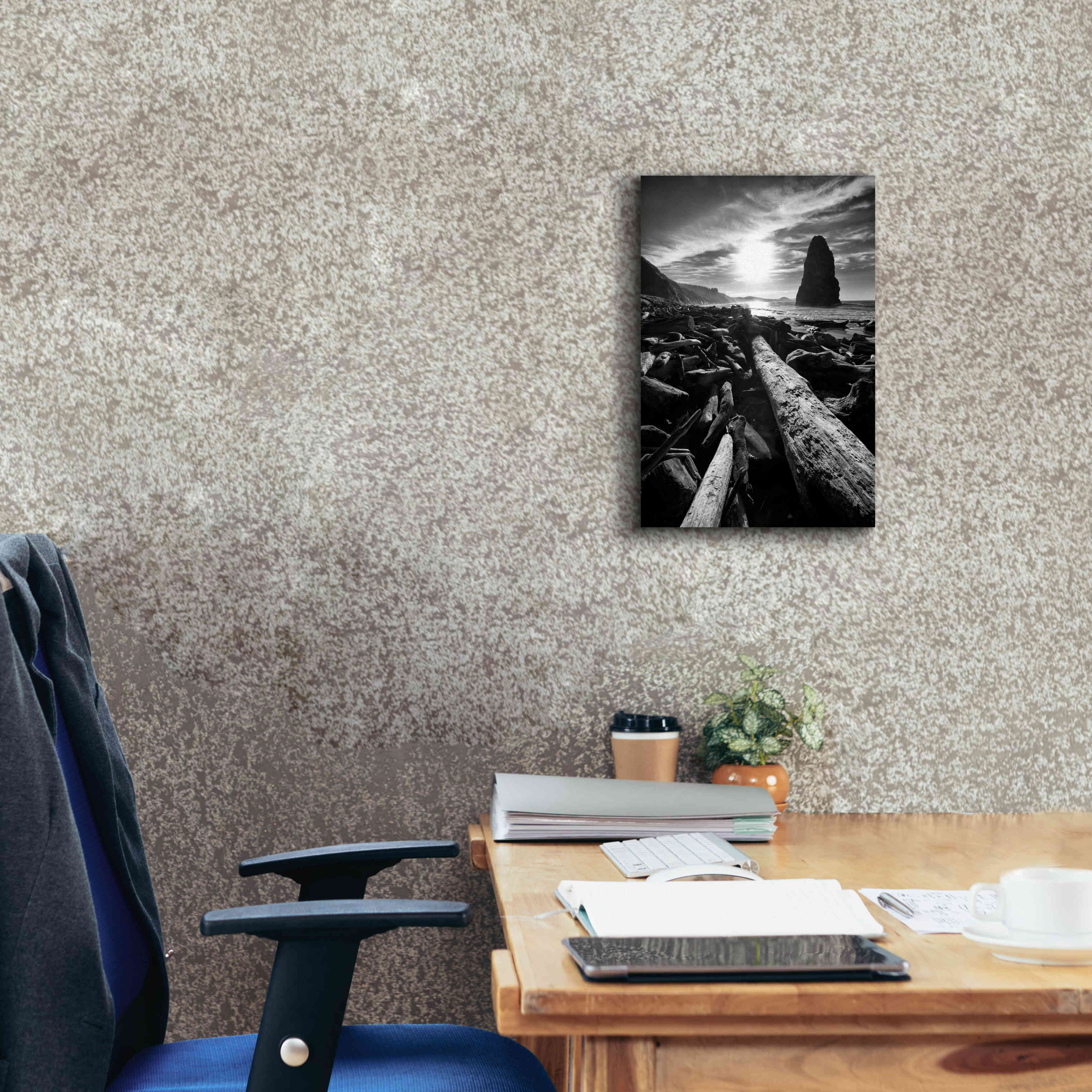 'Driftwood Sun 1 Silver' by Thomas Haney, Giclee Canvas Wall Art,12 x 18