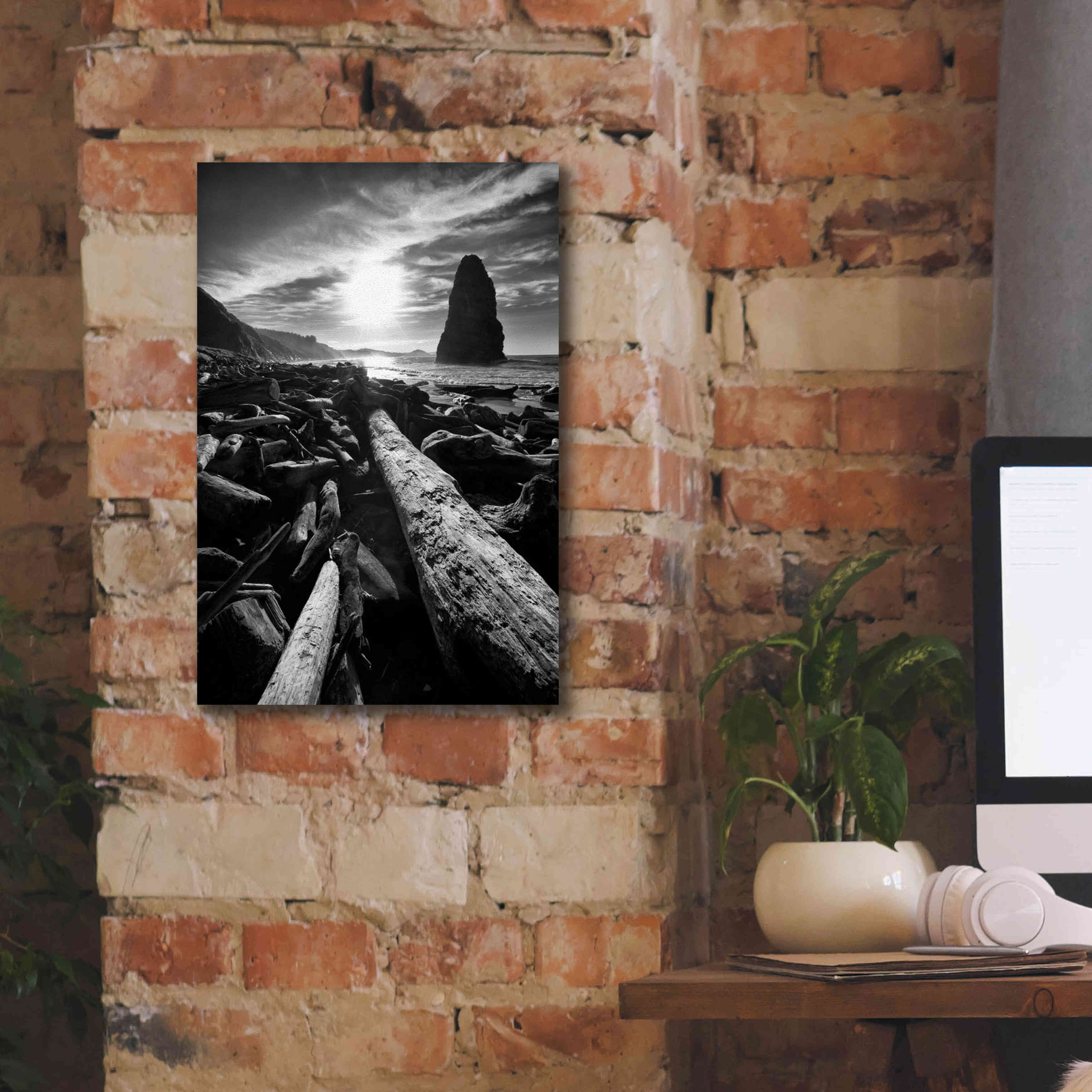 'Driftwood Sun 1 Silver' by Thomas Haney, Giclee Canvas Wall Art,12 x 18