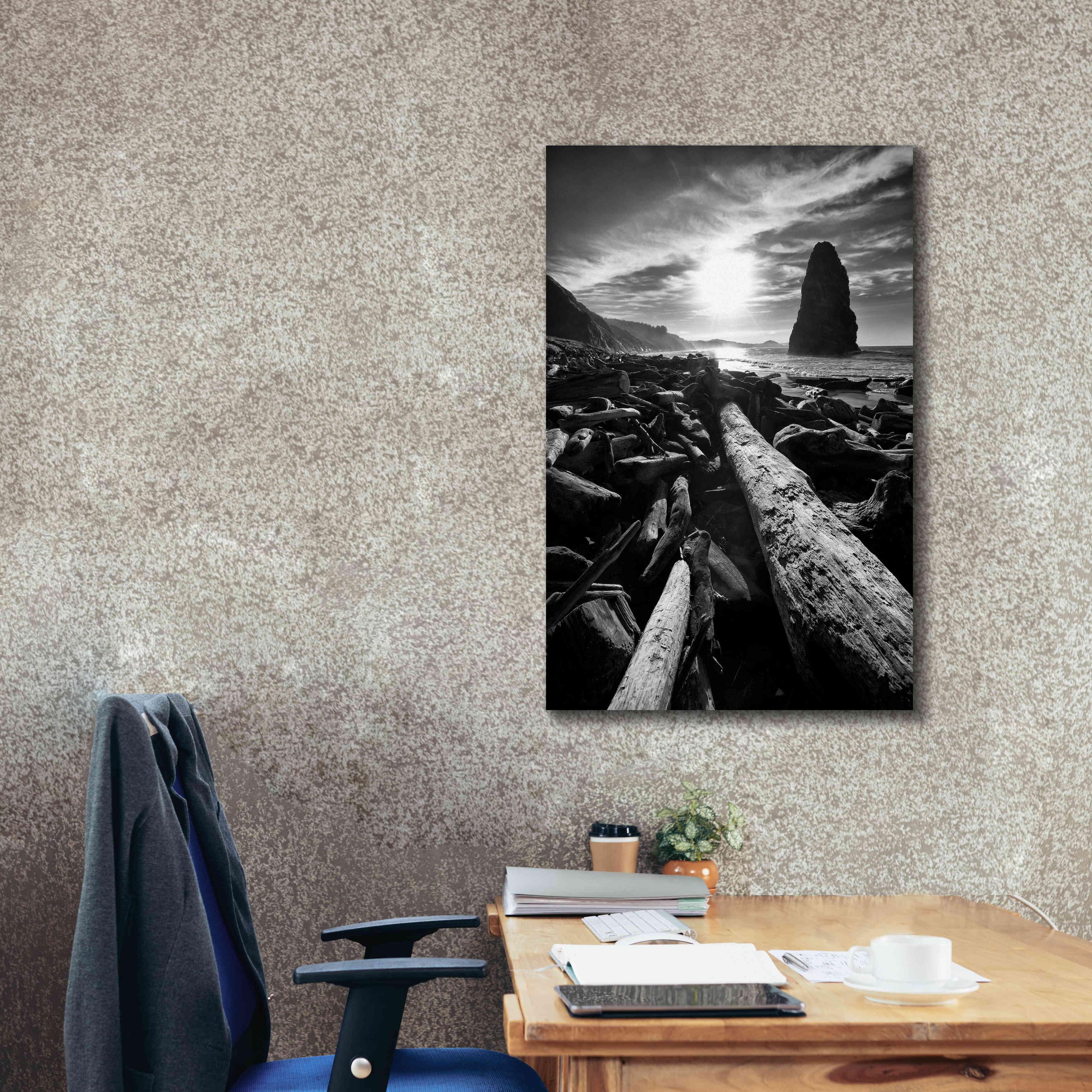 'Driftwood Sun 1 Silver' by Thomas Haney, Giclee Canvas Wall Art,26 x 40