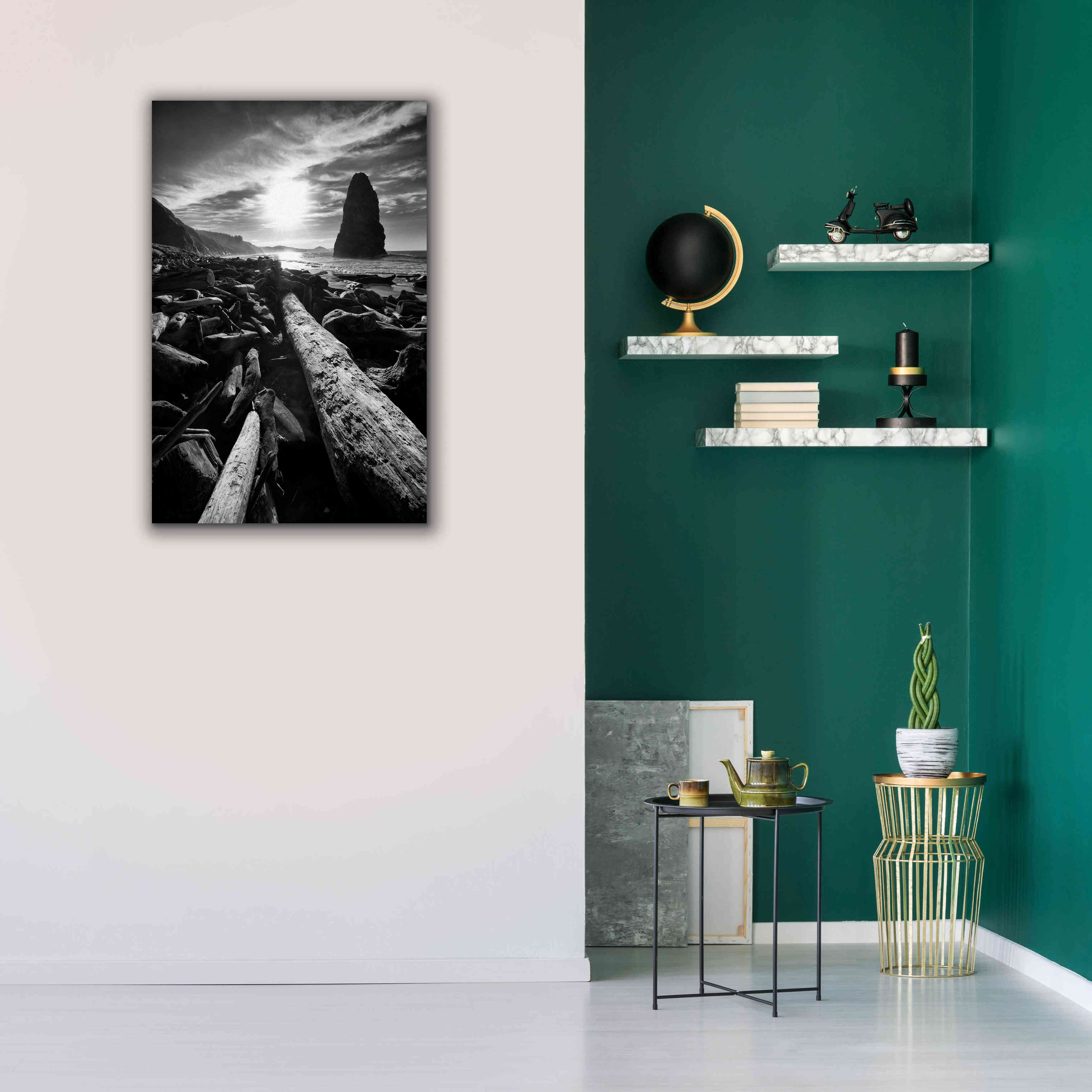 'Driftwood Sun 1 Silver' by Thomas Haney, Giclee Canvas Wall Art,26 x 40