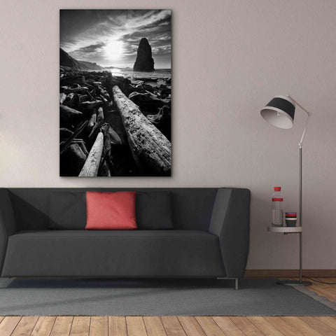 Image of 'Driftwood Sun 1 Silver' by Thomas Haney, Giclee Canvas Wall Art,40 x 60