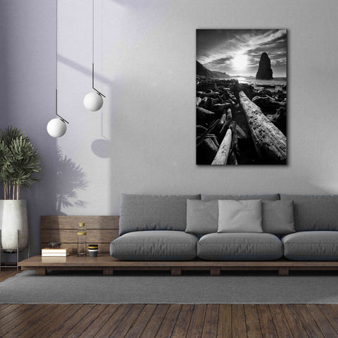 Image of 'Driftwood Sun 1 Silver' by Thomas Haney, Giclee Canvas Wall Art,40 x 60