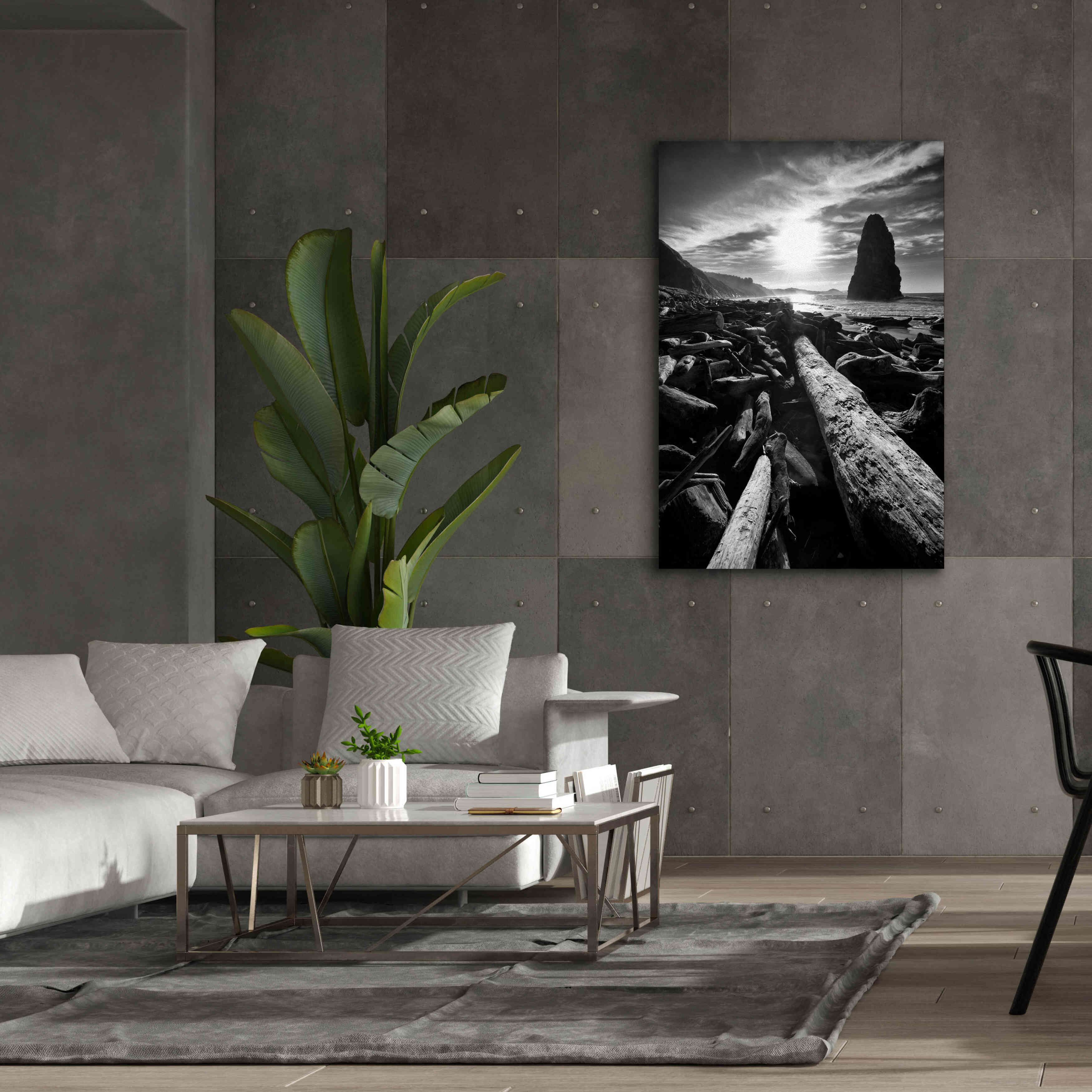 'Driftwood Sun 1 Silver' by Thomas Haney, Giclee Canvas Wall Art,40 x 60