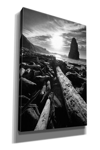 Image of 'Driftwood Sun 1 Silver' by Thomas Haney, Giclee Canvas Wall Art