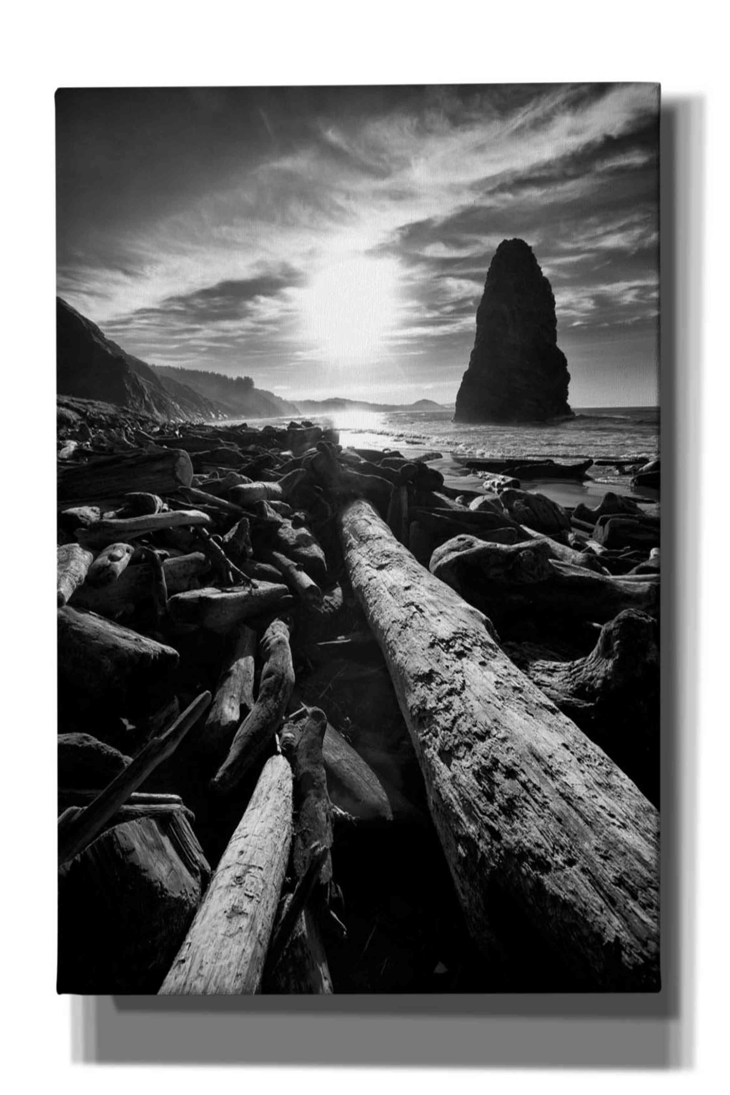 'Driftwood Sun 1 Silver' by Thomas Haney, Giclee Canvas Wall Art