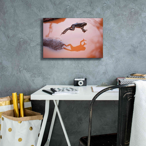 Image of 'Frog Jump 3' by Thomas Haney, Giclee Canvas Wall Art,18 x 12