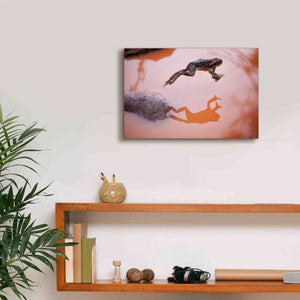 'Frog Jump 3' by Thomas Haney, Giclee Canvas Wall Art,18 x 12