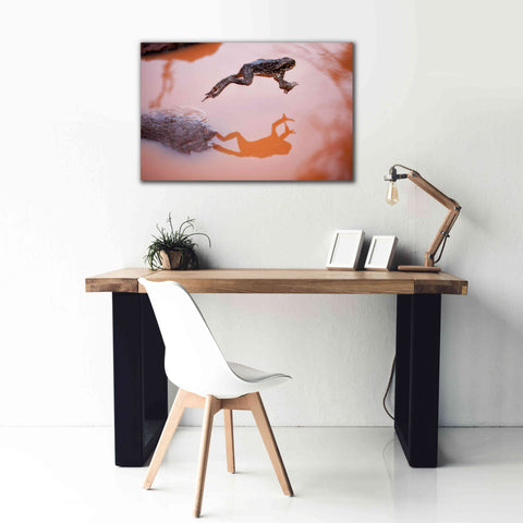 Image of 'Frog Jump 3' by Thomas Haney, Giclee Canvas Wall Art,40 x 26