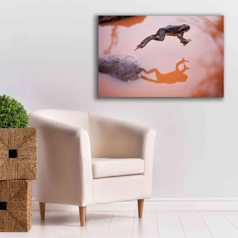Image of 'Frog Jump 3' by Thomas Haney, Giclee Canvas Wall Art,40 x 26
