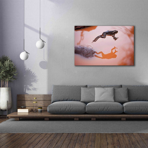 Image of 'Frog Jump 3' by Thomas Haney, Giclee Canvas Wall Art,60 x 40